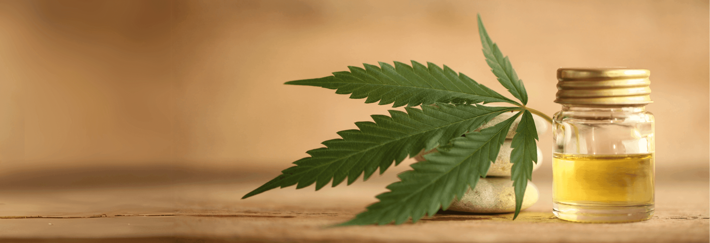 Flasche mit Hanföl und Hanfblatt auf einem Holzuntergrund